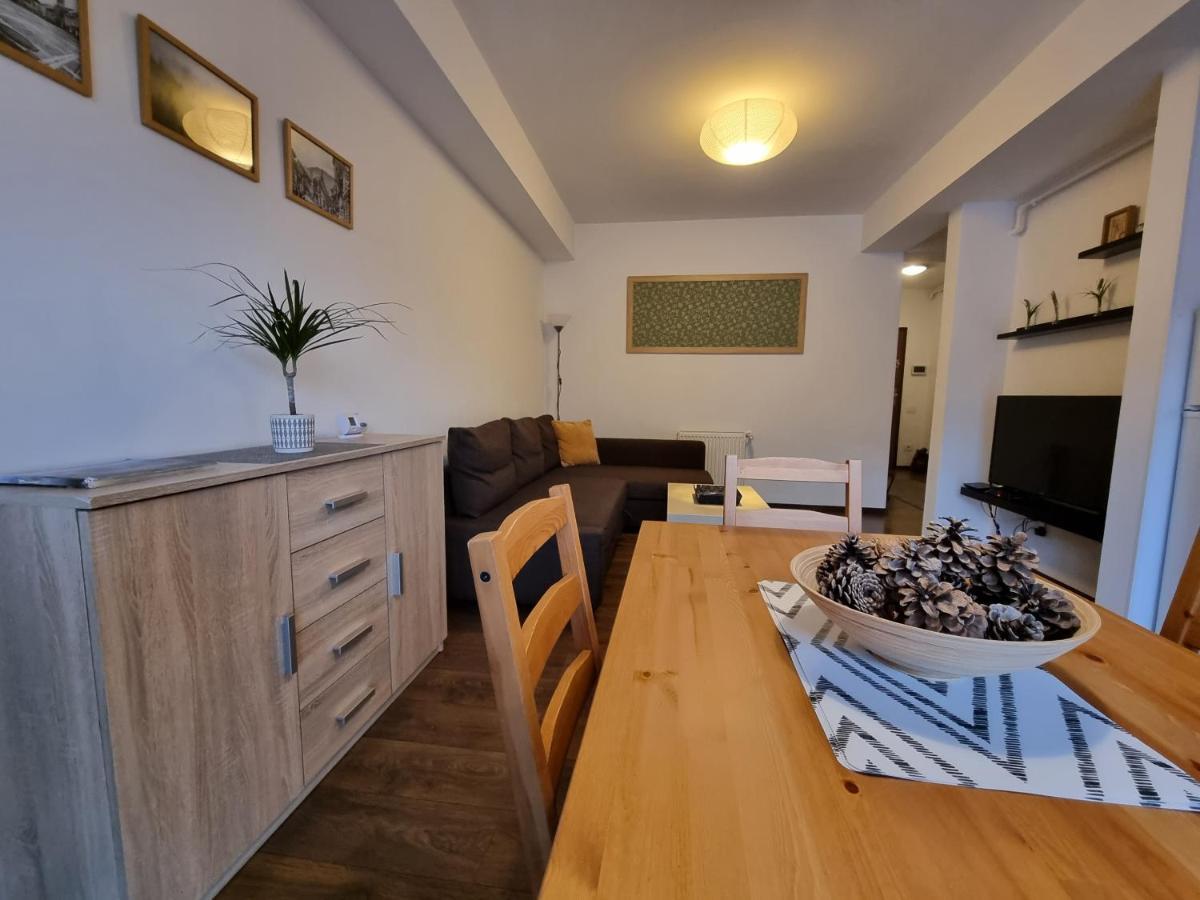 Avram Iancu Private Apartment With Ac Brašov Exteriér fotografie
